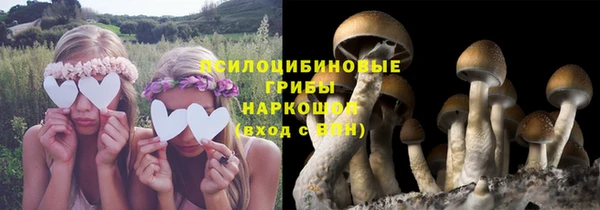 соль курить ск Гусь-Хрустальный