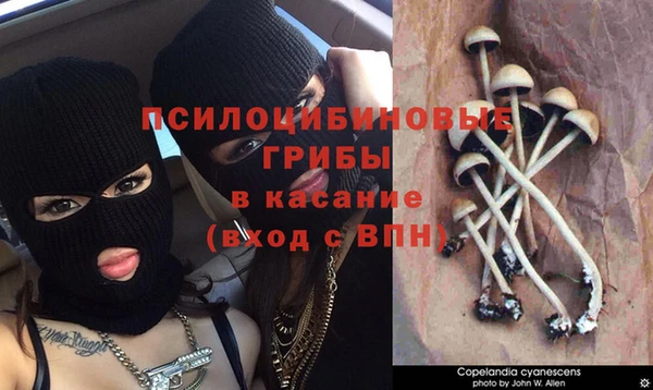 кокаин VHQ Протвино