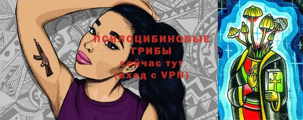таблы Приозерск