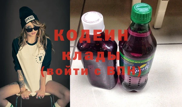 шишки Заволжье